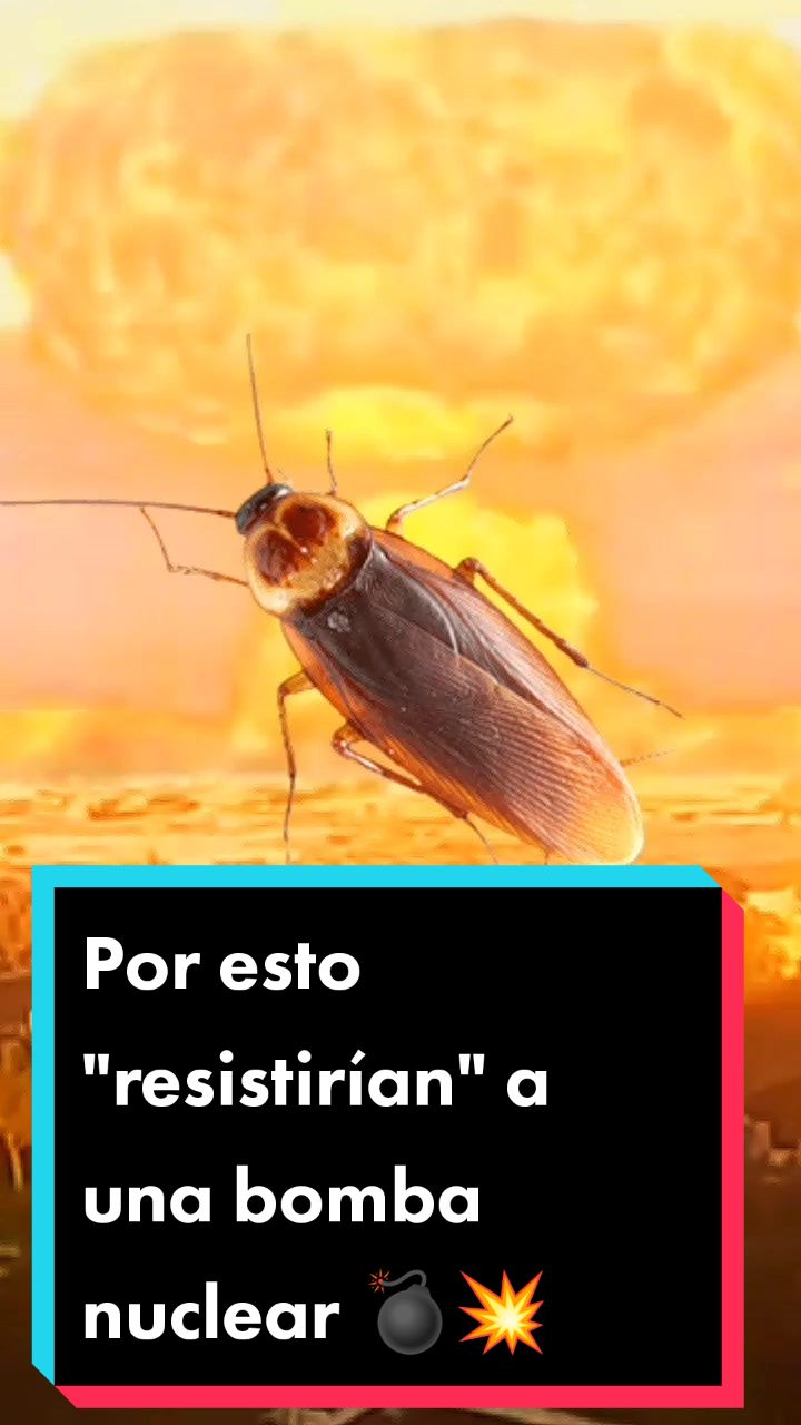 @RoanNews
