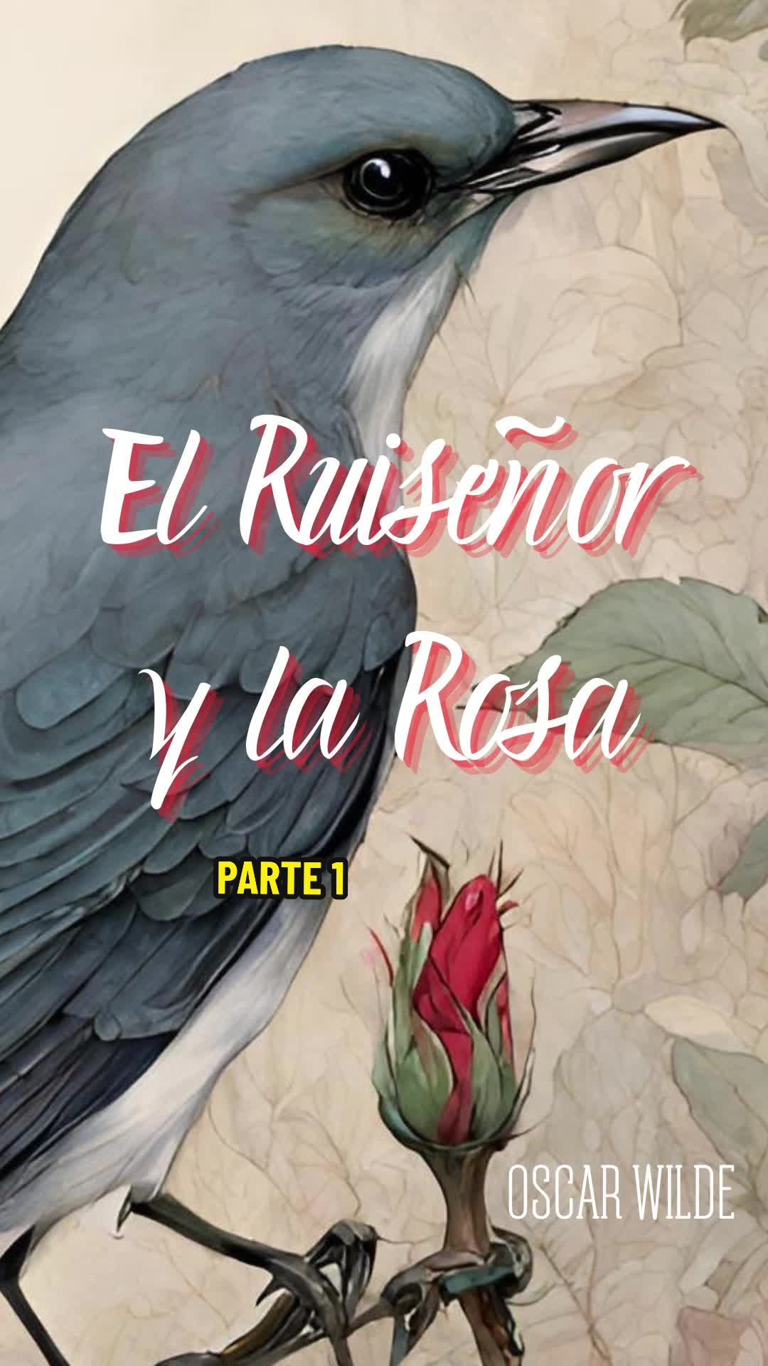 @🎧 AudioLibrary 🔊📚