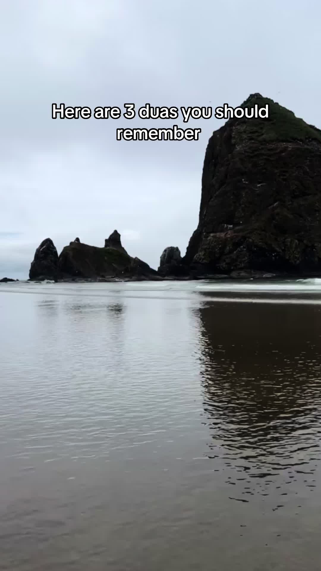@Nesreen ๐ง