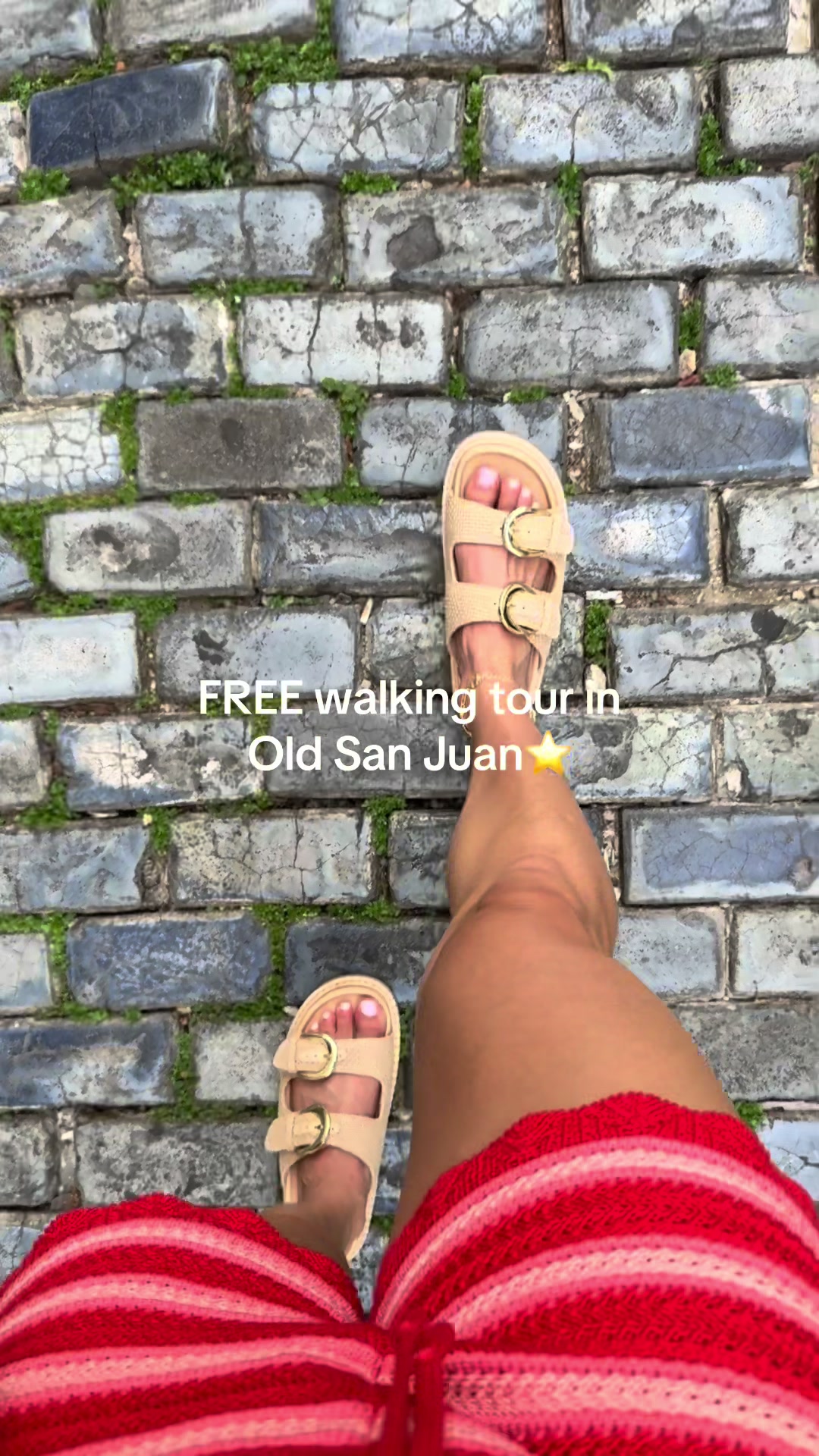 @lavidalilia