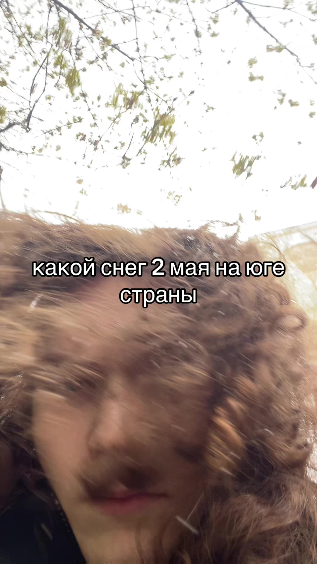 @🦭Marginalovv