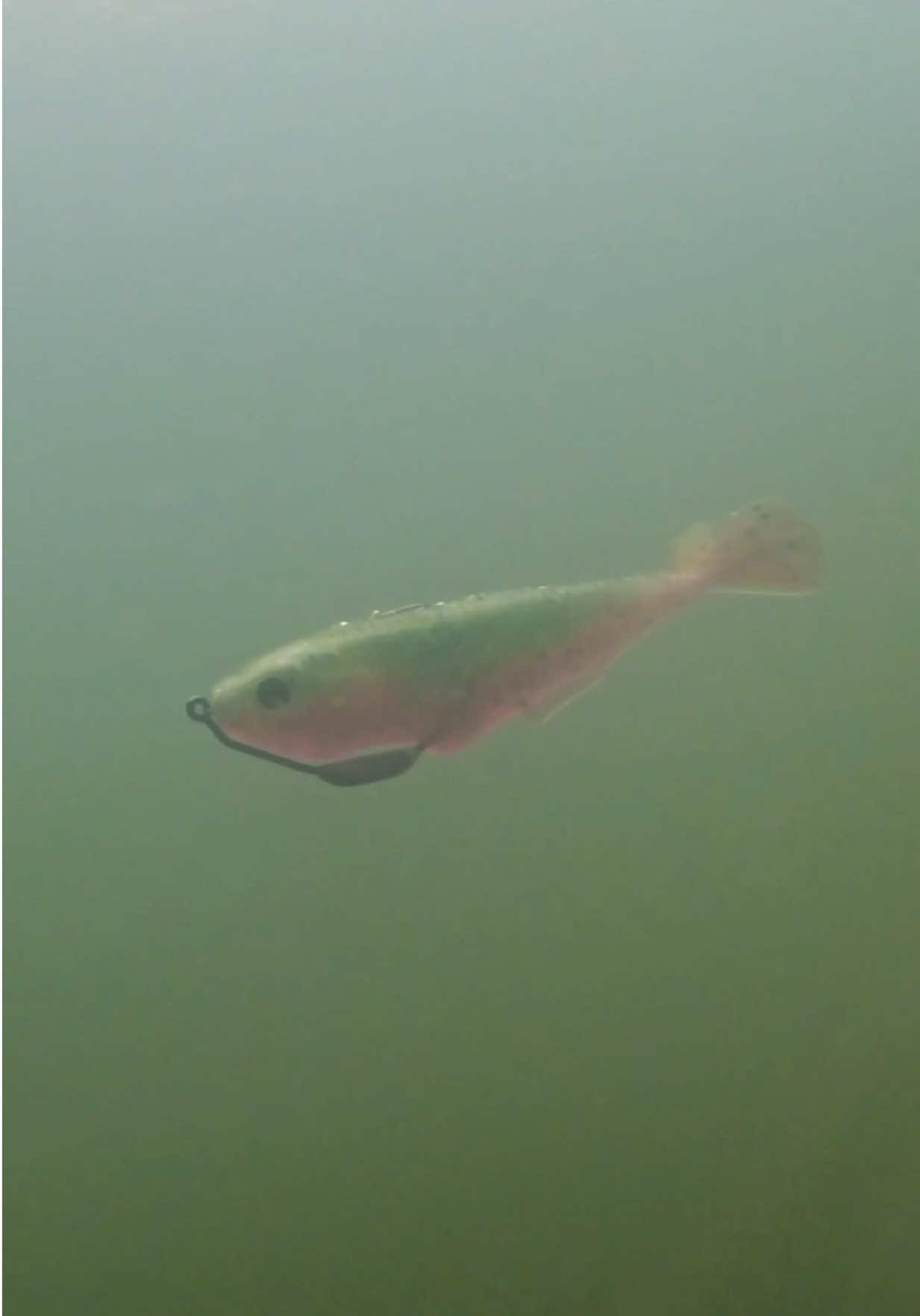 @Tacklehead Fishing
