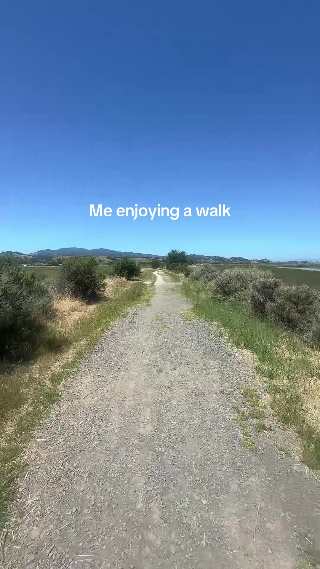 @Eliza