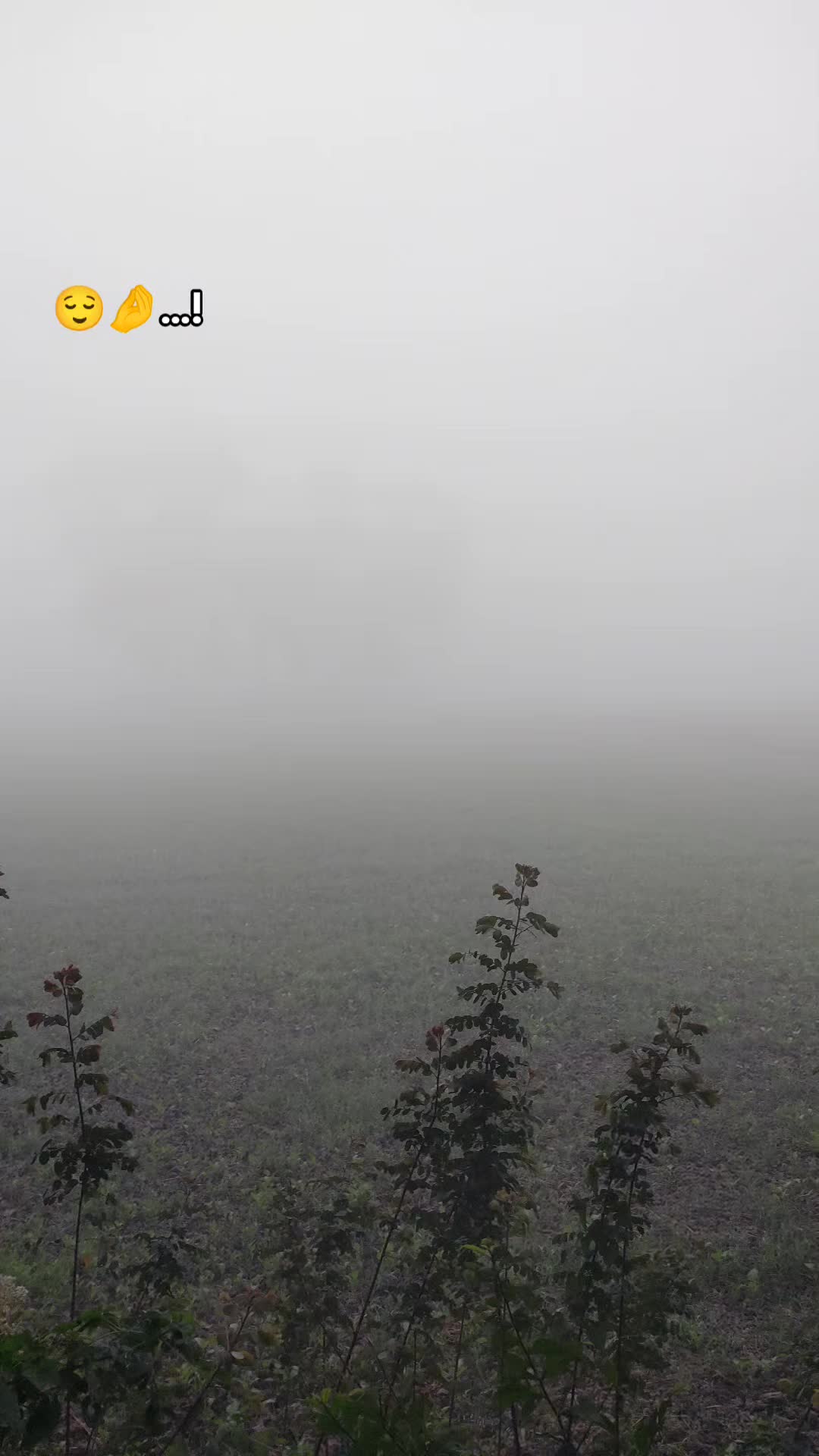 @𝕯𝖜𝖊𝖊𝖕