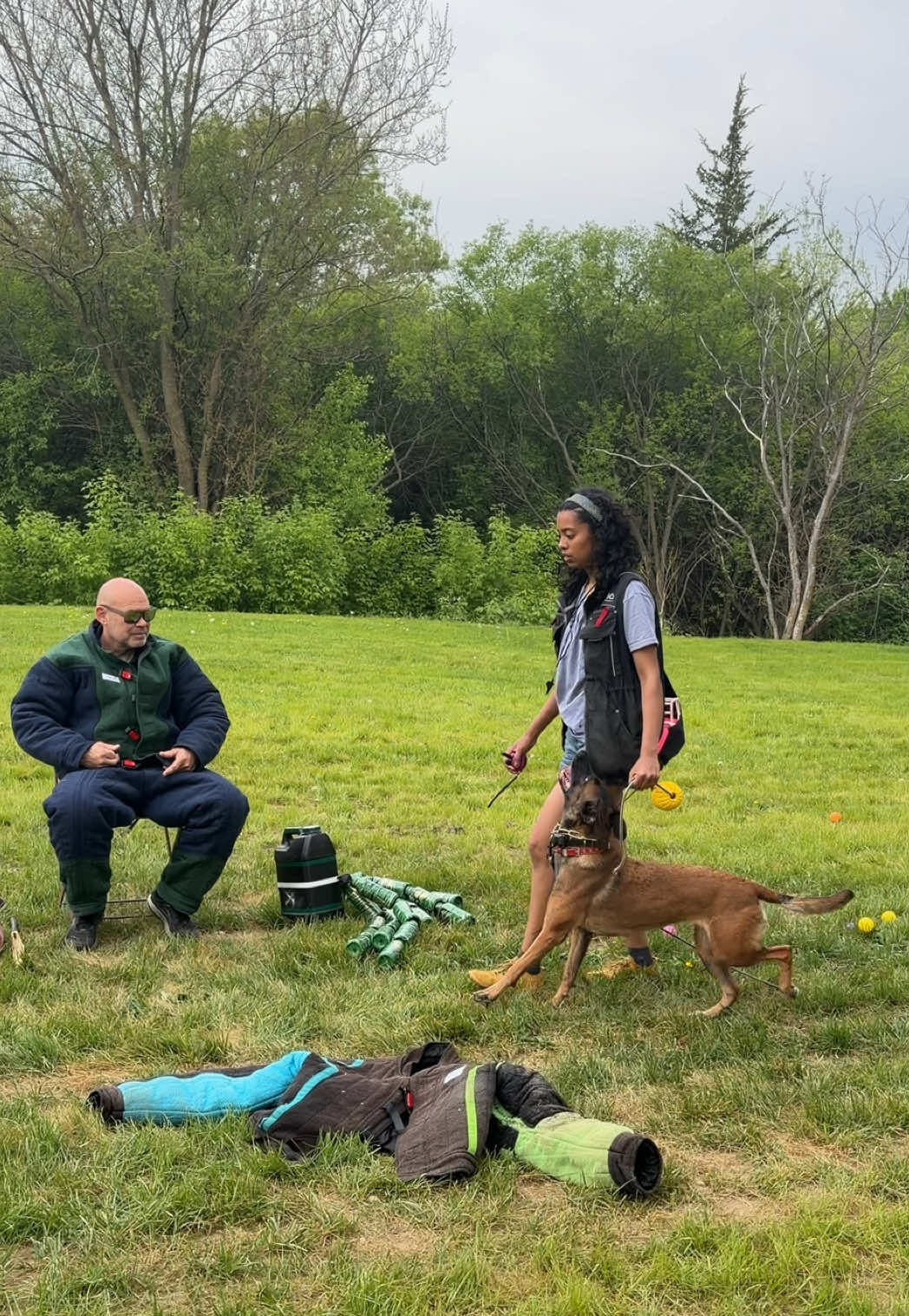 @dogstrainjen