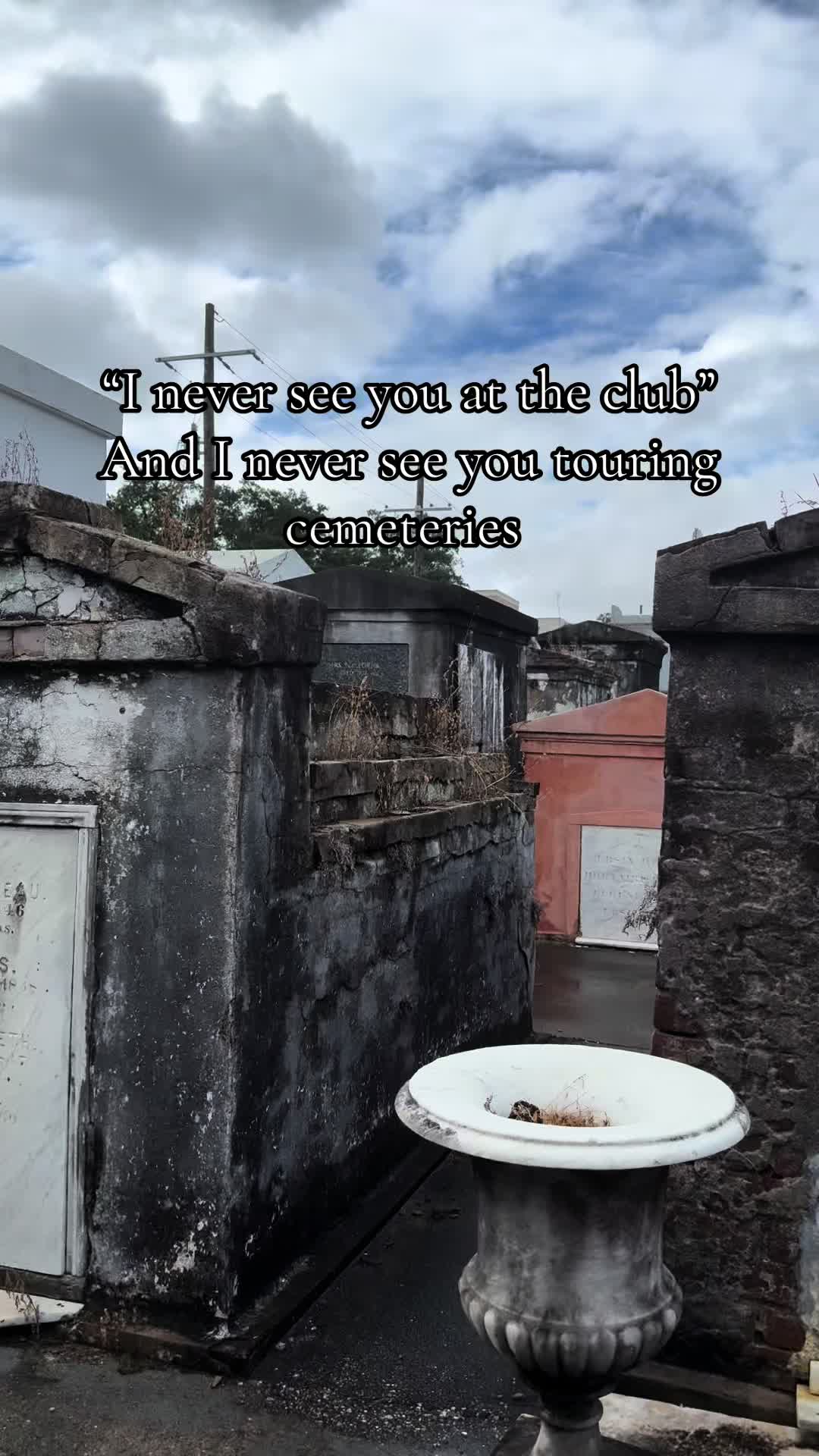 @Lily