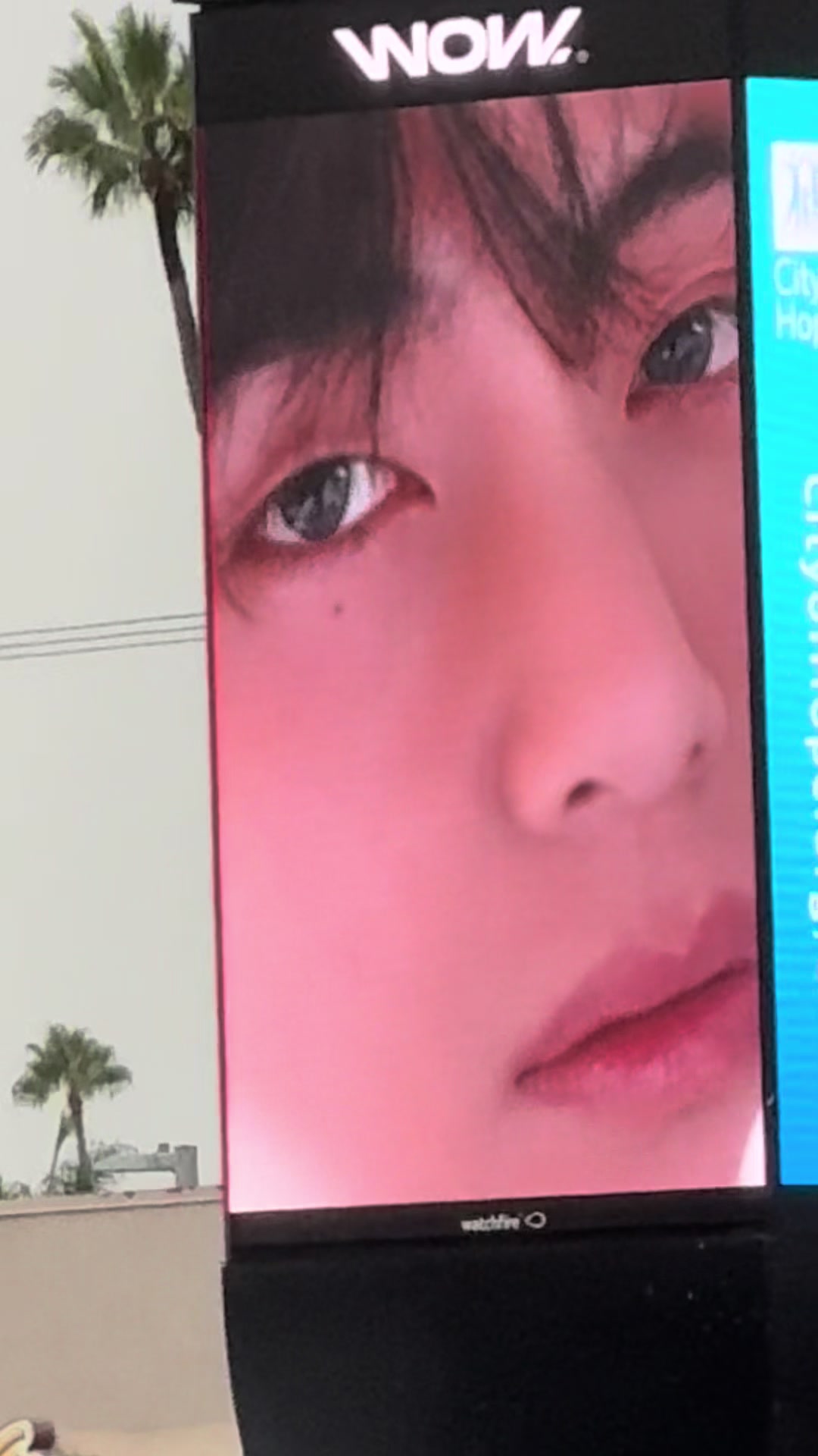 @ChiaLRV