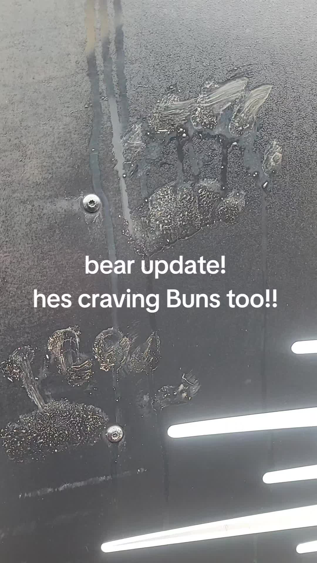 @Buns To Go❌️