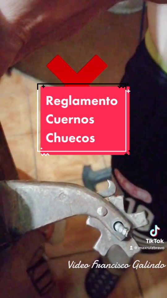 @MaxRuizBravo