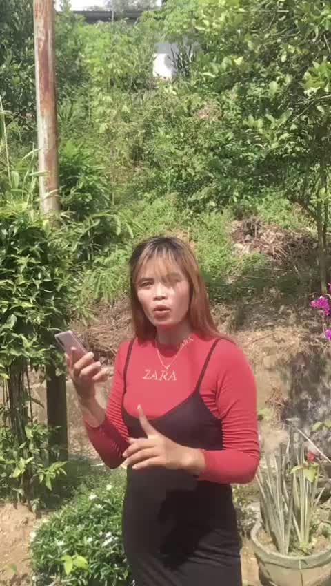 @Erdans