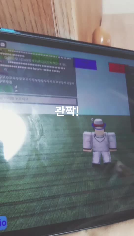 @따봉도치
