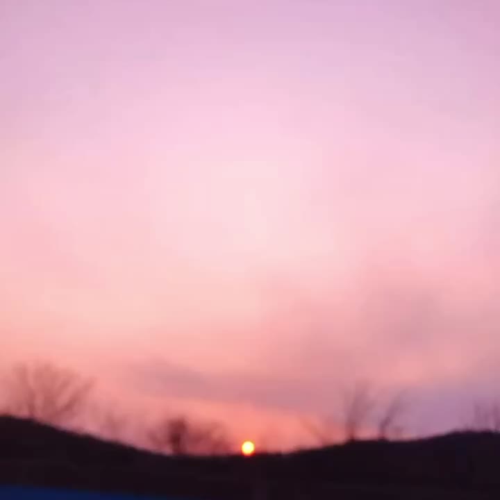 @토이스토리 08 혁명