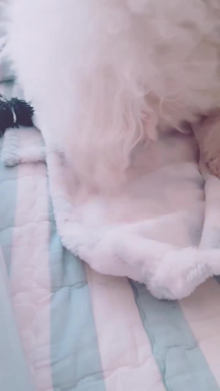 @🌟루피짱🌟