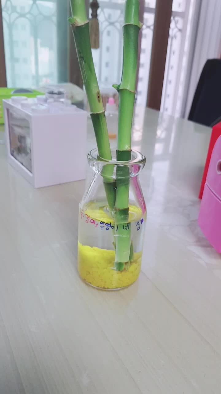 @《도은씌♡》