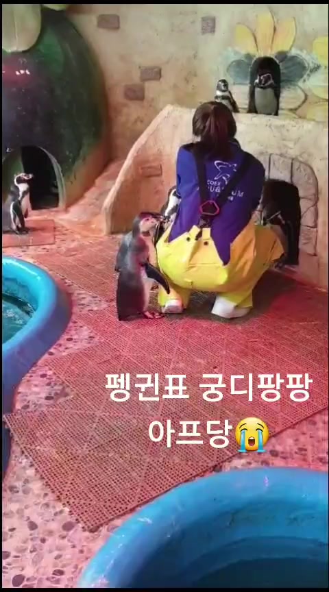 @수지큐