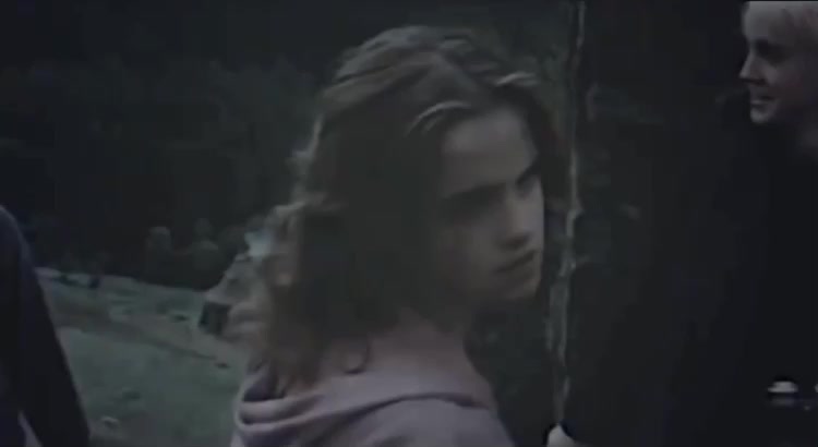 @Accio_Potterheads