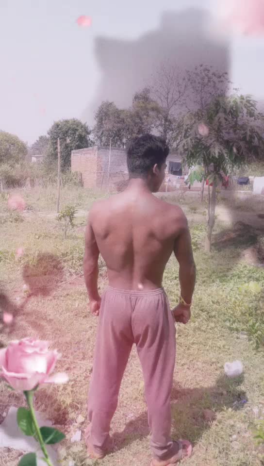 @pihubehera4488