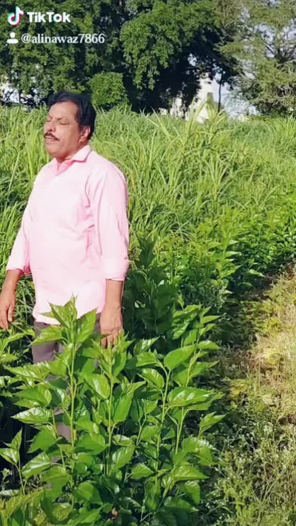 @alinawaz 7866