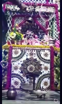 @vasundhra behl