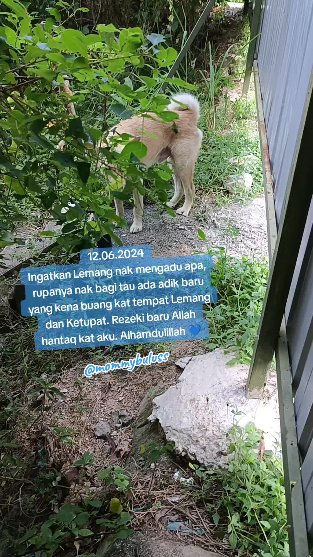 @🐕🐈⬛ Mommy Buluss 🐎🐒💙