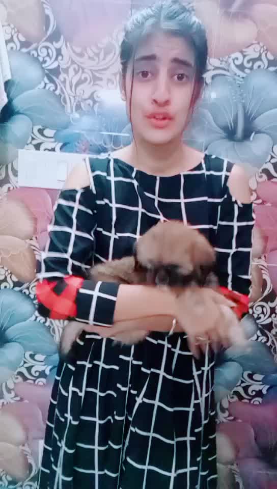 @Surbhi Jethi