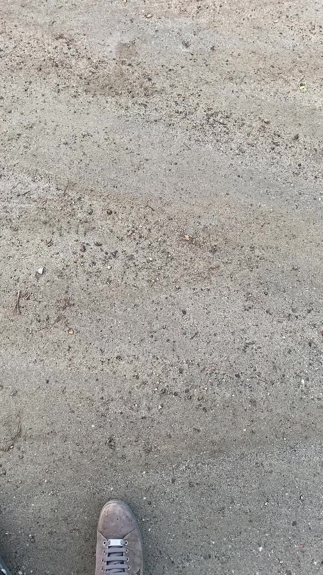 @jbosss