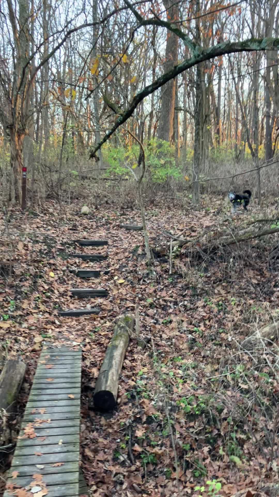 @Hikingwithstanley