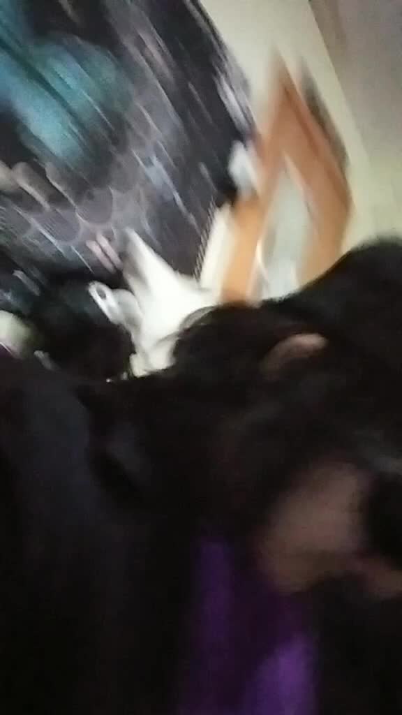 @⚰️ 𝑨𝖑𝖊𝖎𝖘ߙ𝖊𝖗 ⚰️