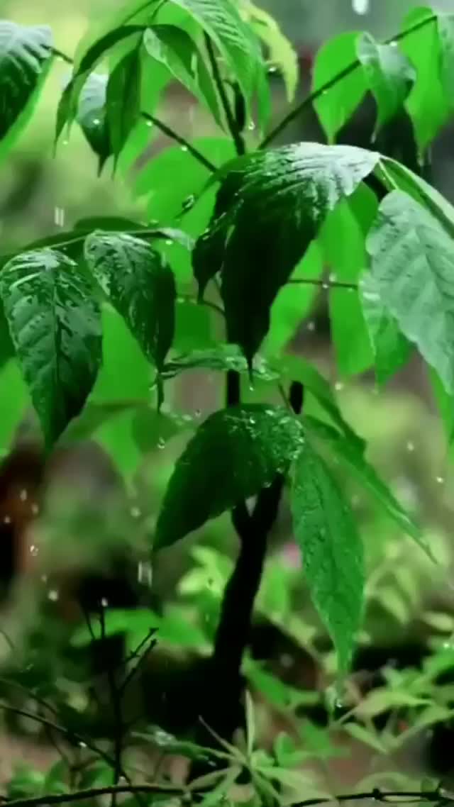 @&Agrave;tsu 💞