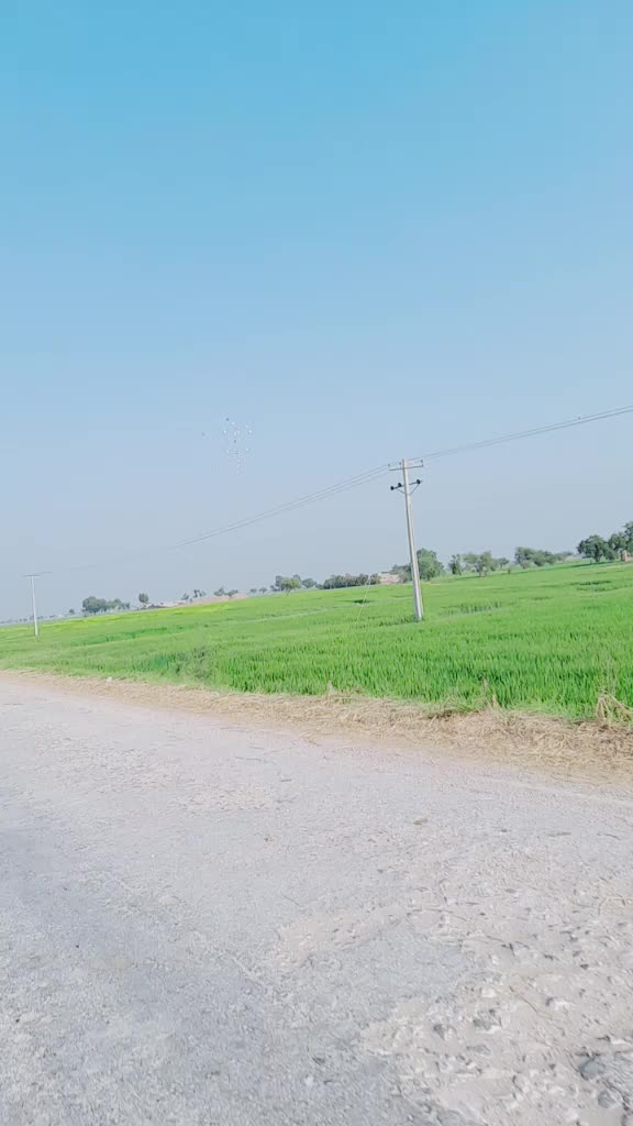 @Naeemali Solangi