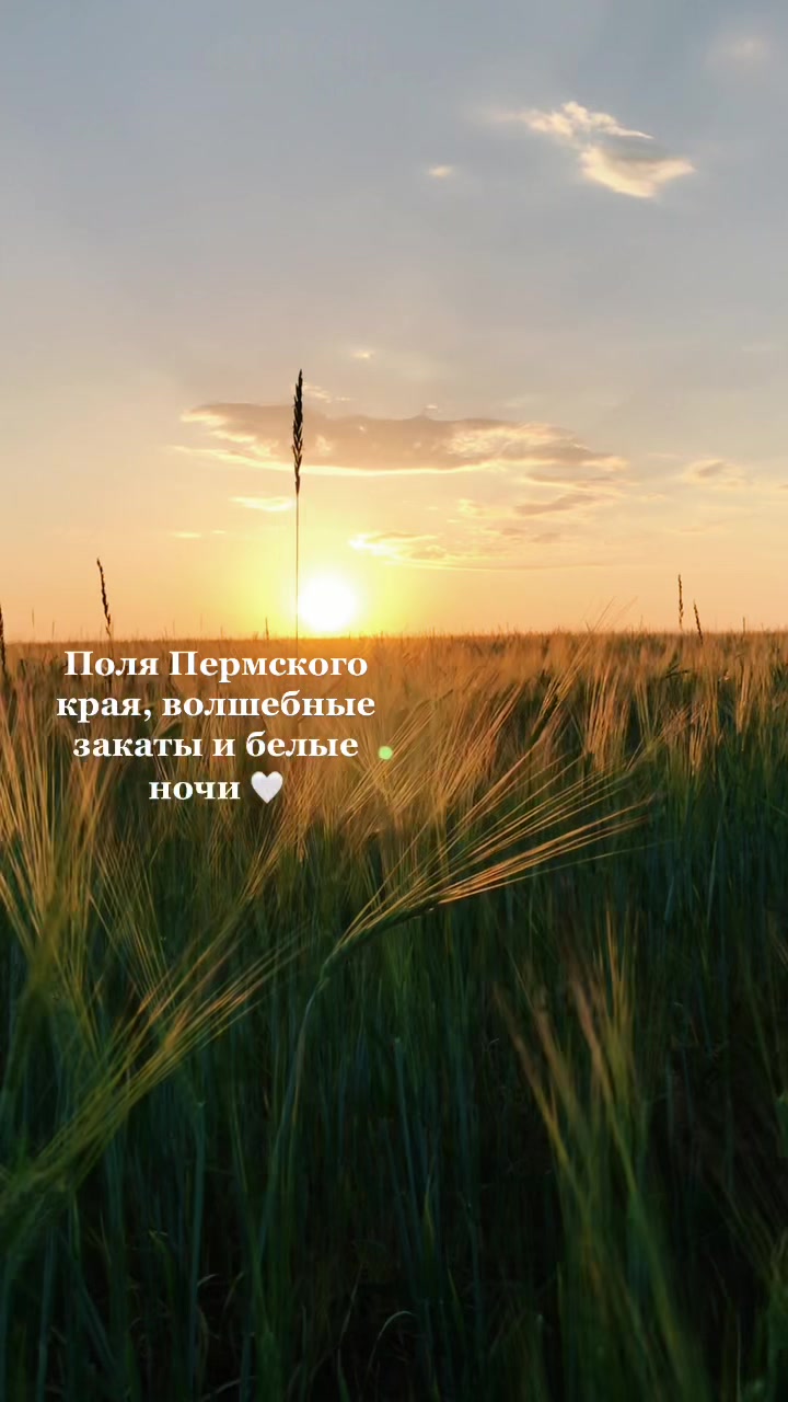 @Мария Носкова