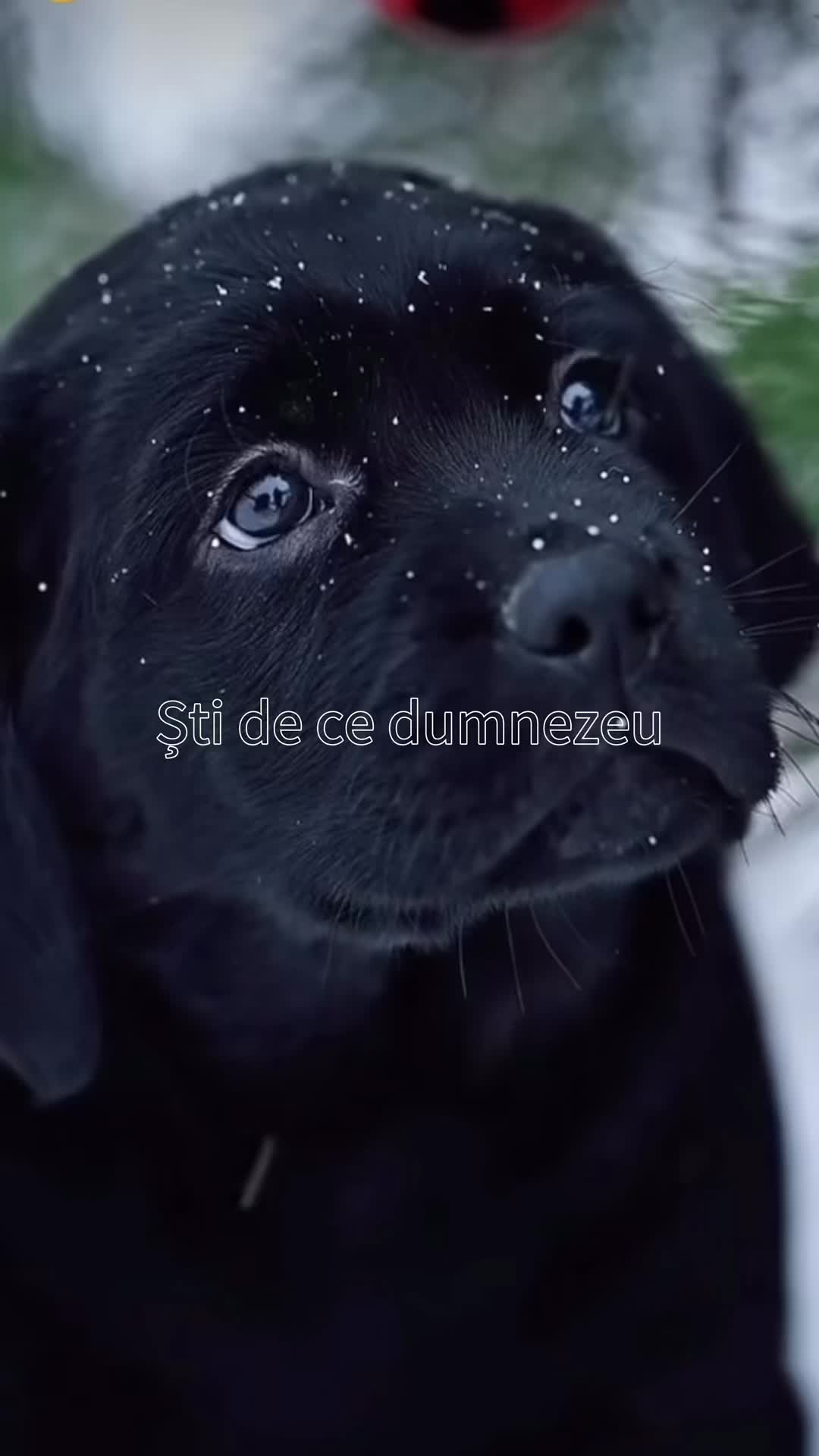 @•๐๐•