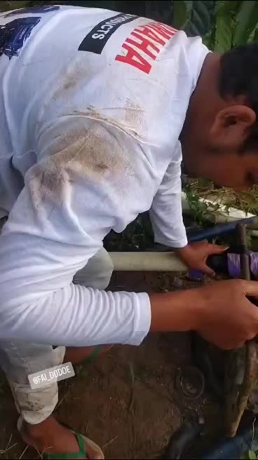 @faidodoe