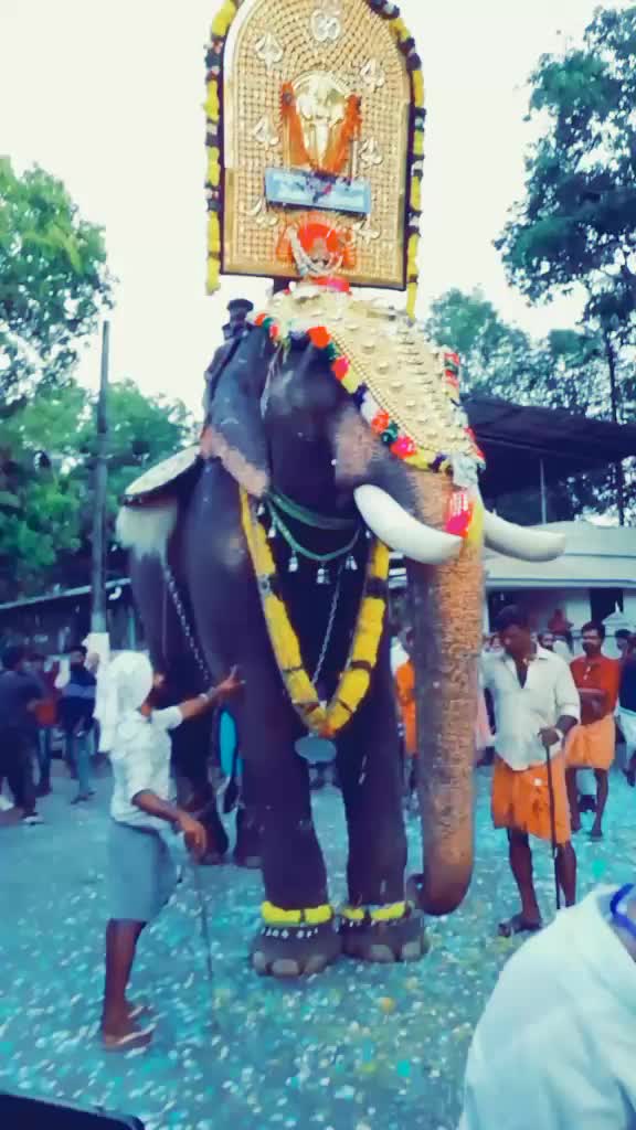 @Vishnu Dhath