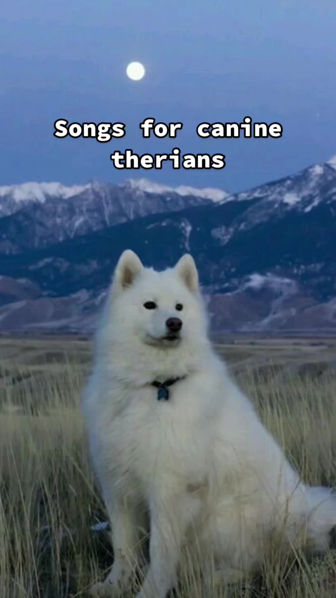 @Snowwystripes