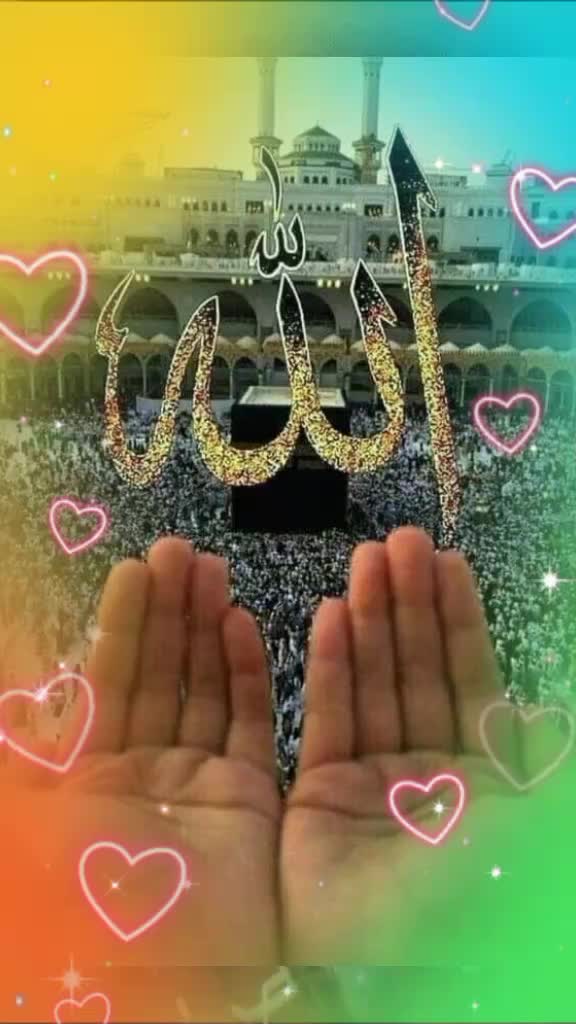 @Noor Aldeen391