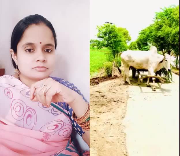 @bujji