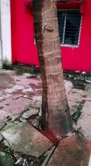 @swati37815519