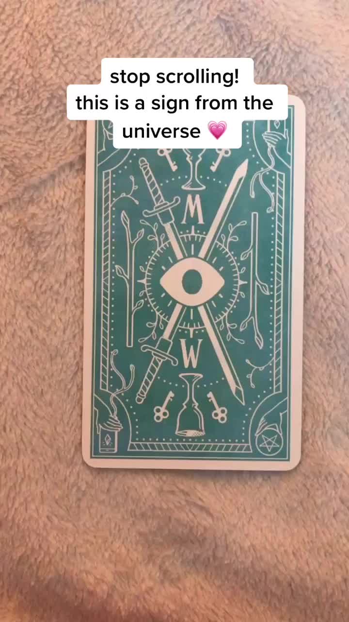 @sunflower tarot 🌻