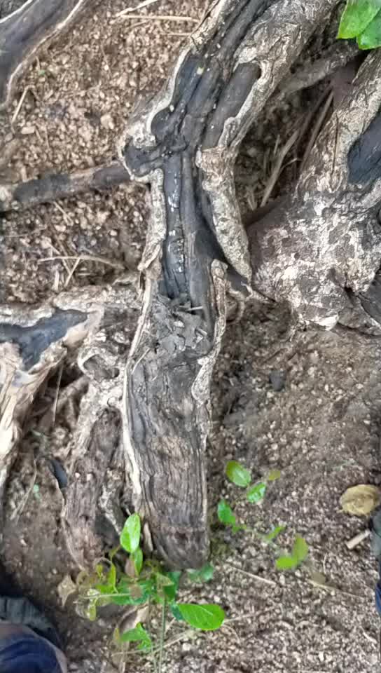@_navin_mudhiraj_