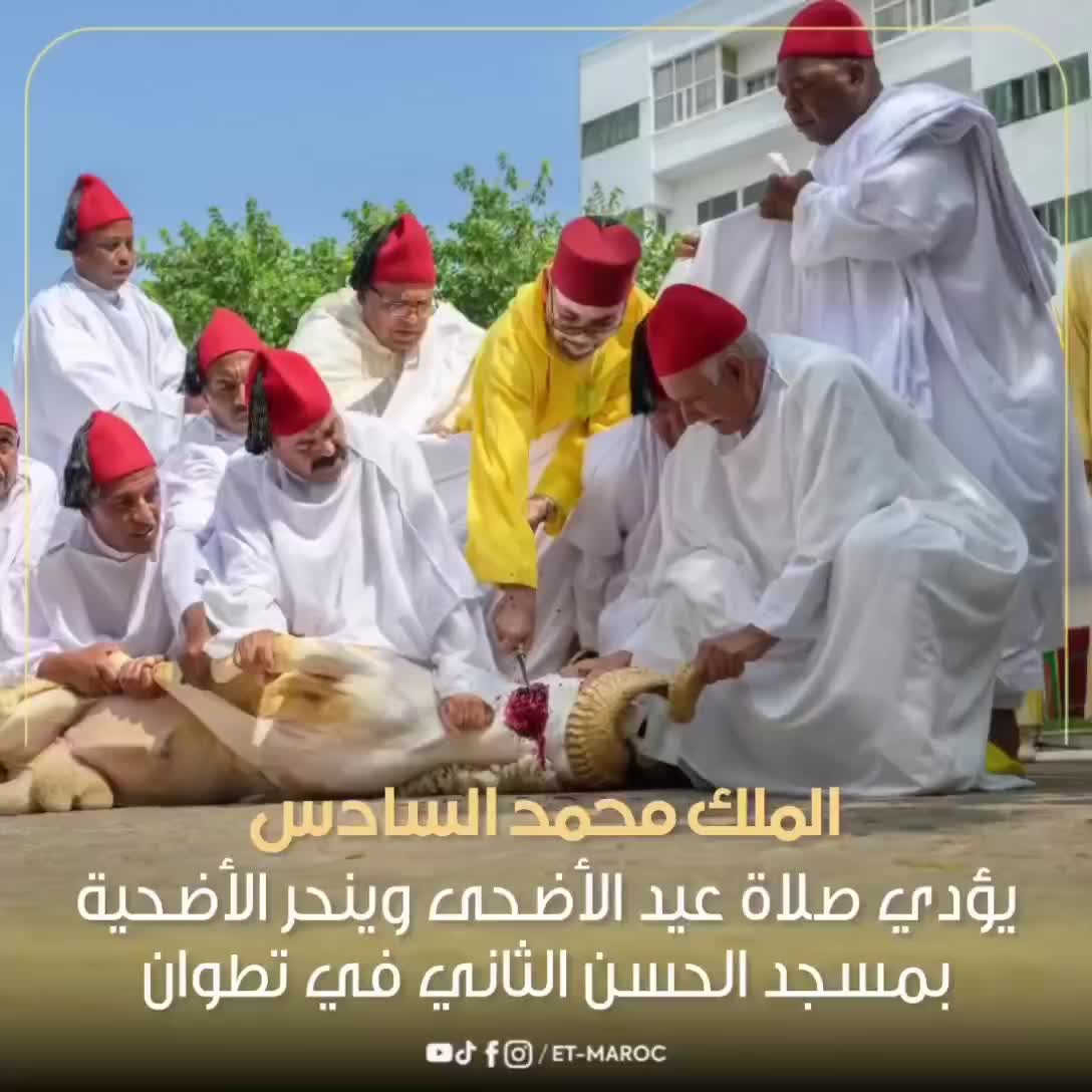 @Najlaa El Amrani