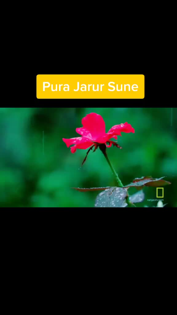 @Rukshar Khan