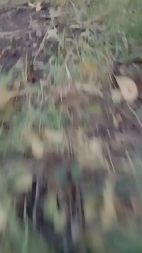 @user616996