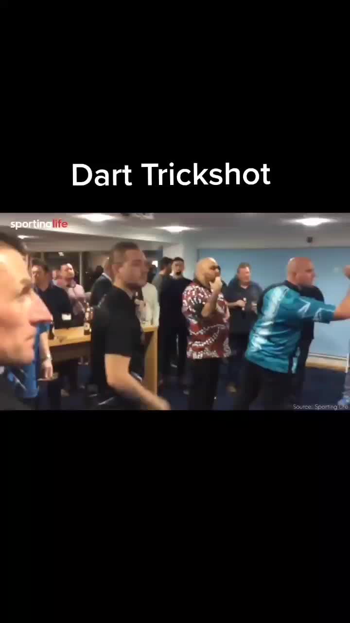 @Dartsworld