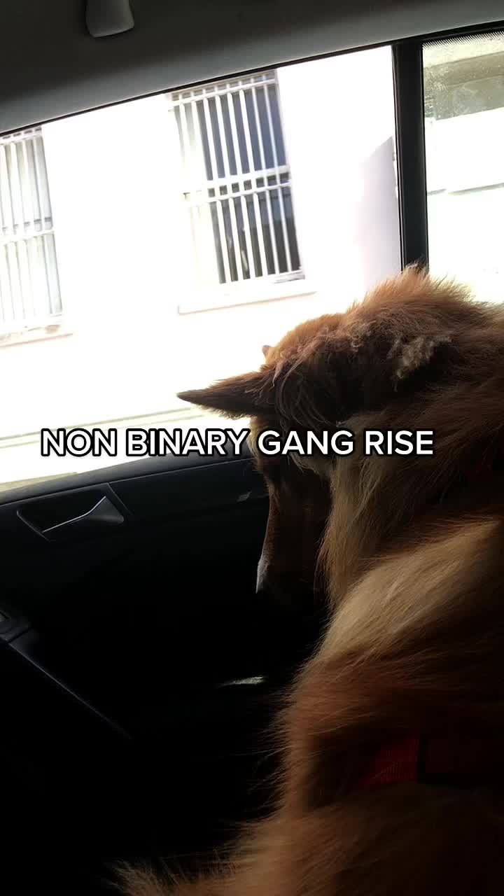 @nonbinaryg.ng