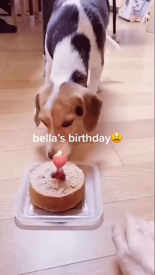 @lili