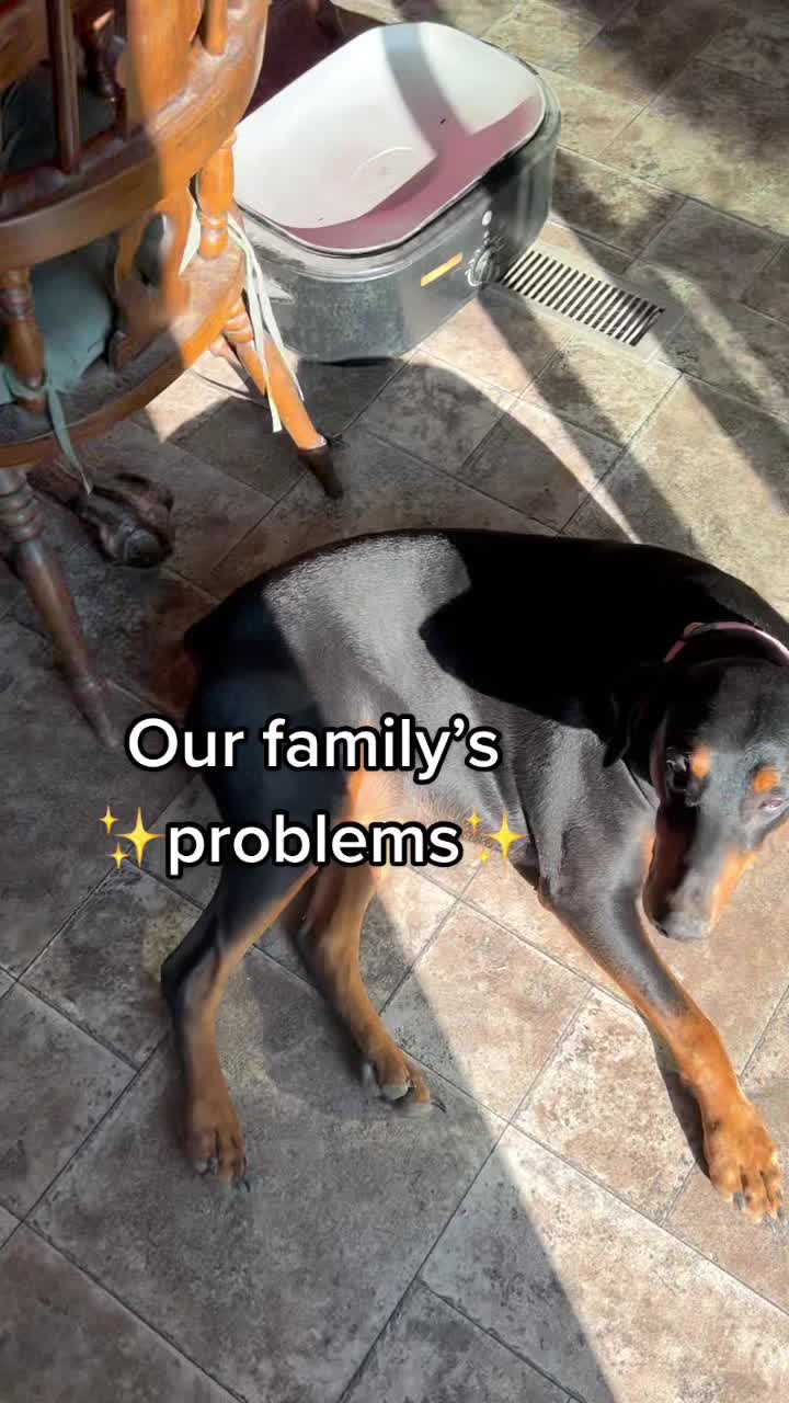 @Emily Jean