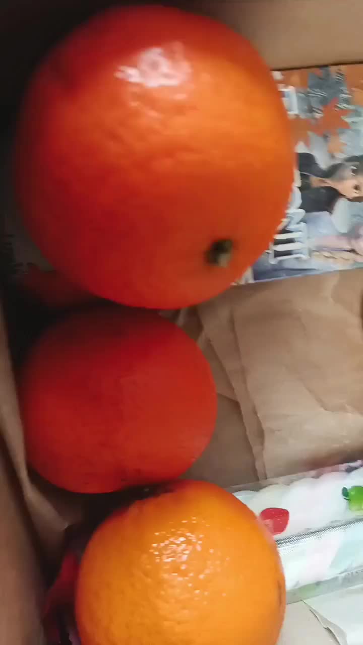 @Ксения Наумова