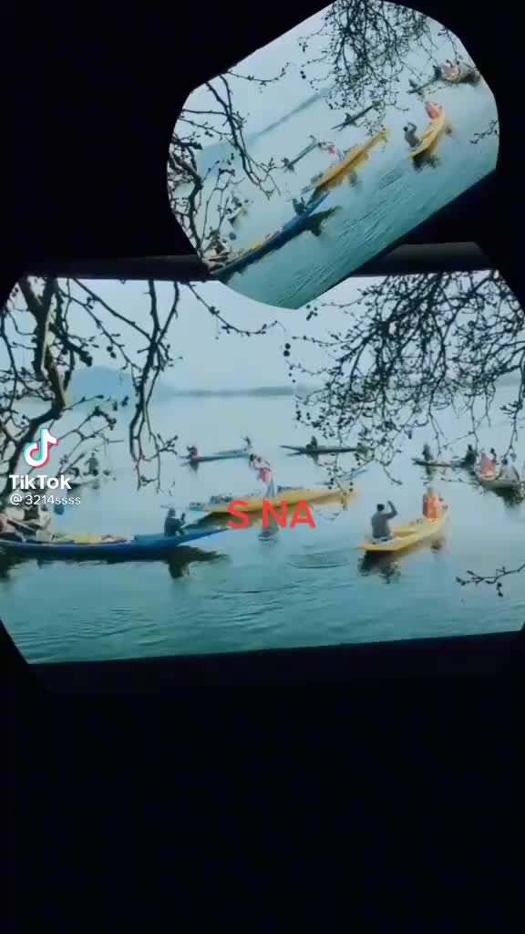 @bunny 225