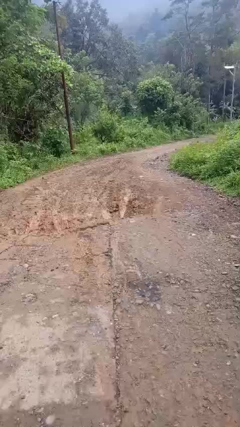 @hasin2430